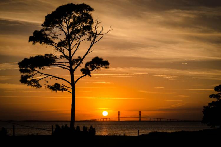 Discover The Golden Isles: Things To Do In Brunswick, GA | Real Escapes ...